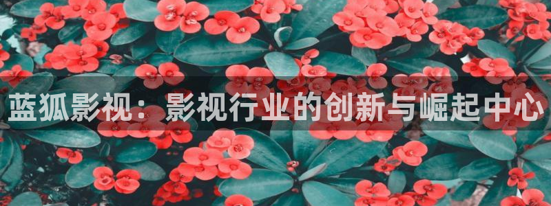 青苹果影院一级片：蓝狐影视：影视行业的创新与崛起中心