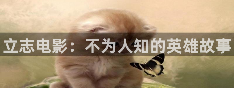 青苹果在线电视剧免费观看