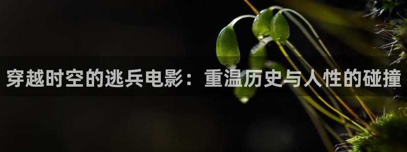 青苹果影院蜜桃成熟时：穿越时空的逃兵电影：重温历史与人性的碰撞