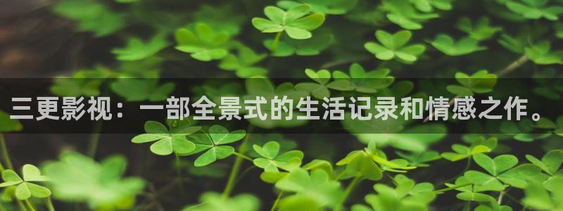 青苹果免费影院：三更影视：一部全景式的生活记录和情感之作。