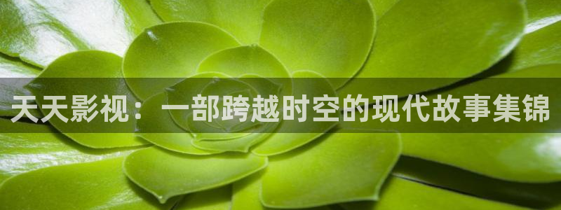 青苹果影院电视剧在线观看：天天影视：一部跨越时空的现代故事集锦