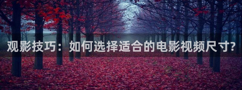 青苹果影院y04080：观影技巧：如何选择适合的电影视频尺寸?