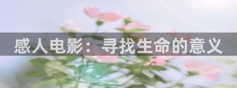青苹果影视免费播放电视剧：感人电影：寻找生命的意义